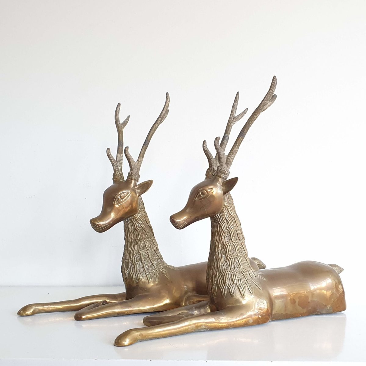 Brass deers Belgium