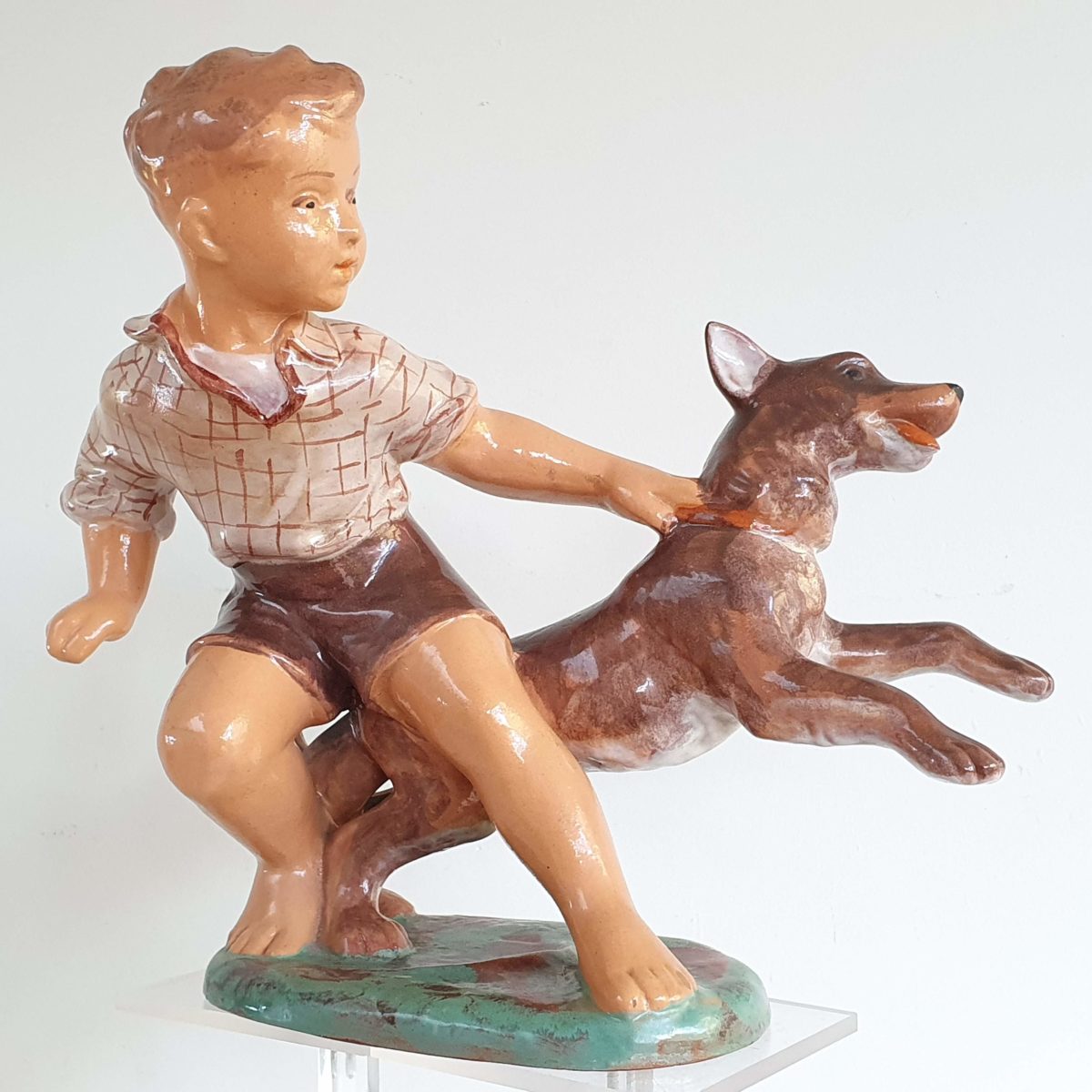 Boy with dog