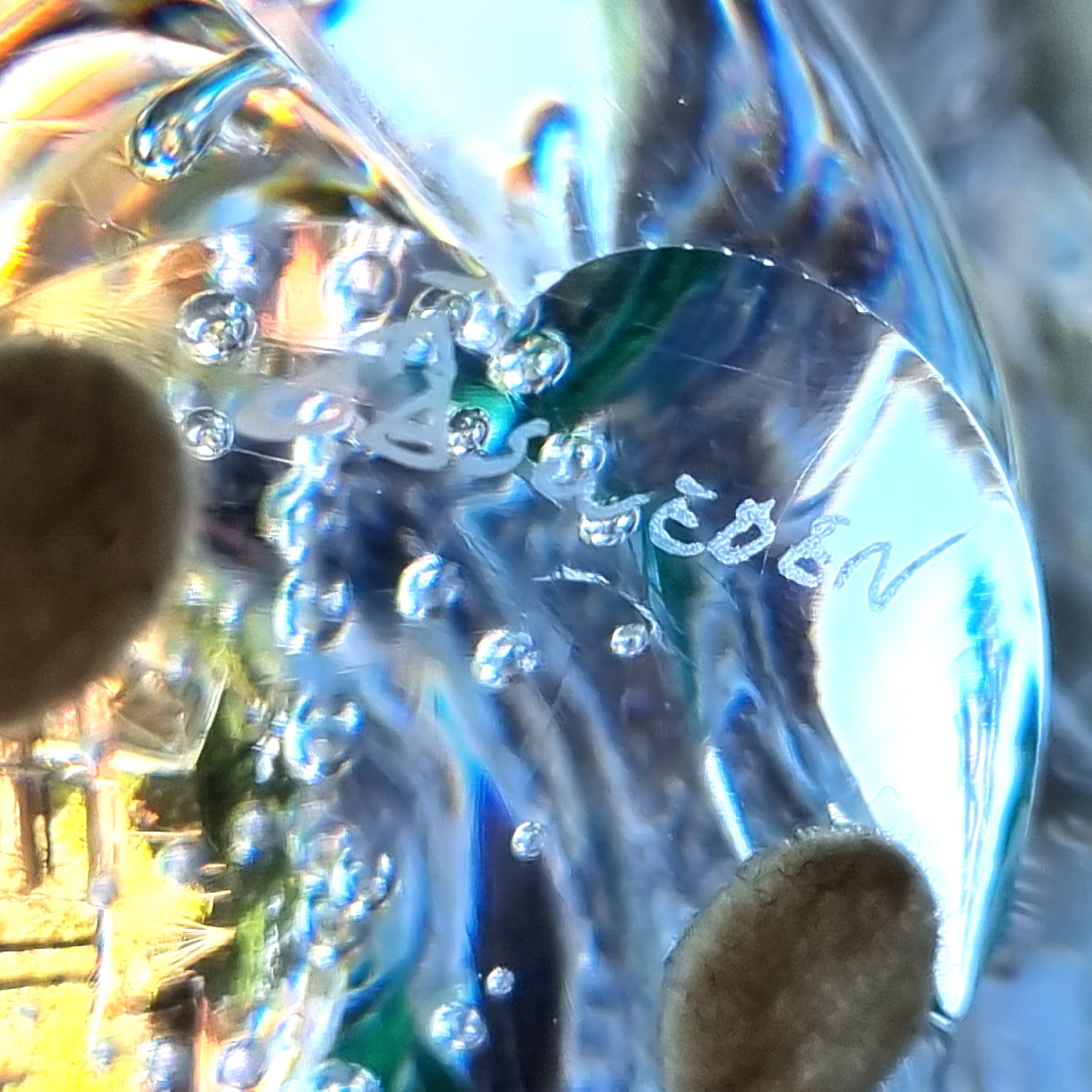 gull92